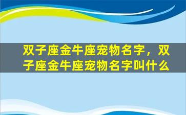 双子座金牛座宠物名字，双子座金牛座宠物名字叫什么