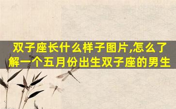 双子座长什么样子图片,怎么了解一个五月份出生双子座的男生