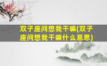 双子座问想我干嘛(双子座问想我干嘛什么意思)