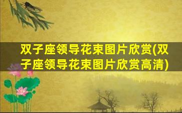 双子座领导花束图片欣赏(双子座领导花束图片欣赏高清)
