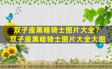 双子座黑暗骑士图片大全？双子座黑暗骑士图片大全大图