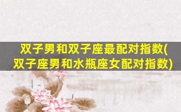 双子男和双子座最配对指数(双子座男和水瓶座女配对指数)