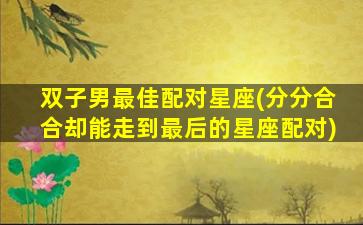 双子男最佳配对星座(分分合合却能走到最后的星座配对)