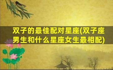 双子的最佳配对星座(双子座男生和什么星座女生最相配)