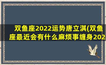 双鱼座2022运势唐立淇(双鱼座最近会有什么麻烦事缠身2023年)