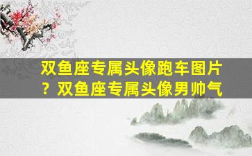 双鱼座专属头像跑车图片？双鱼座专属头像男帅气