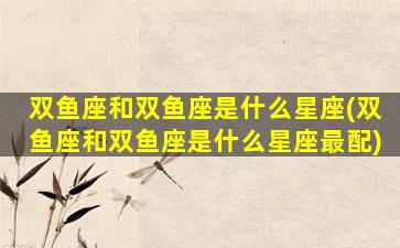 双鱼座和双鱼座是什么星座(双鱼座和双鱼座是什么星座最配)