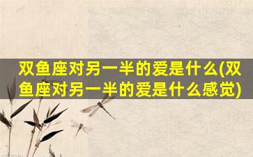 双鱼座对另一半的爱是什么(双鱼座对另一半的爱是什么感觉)