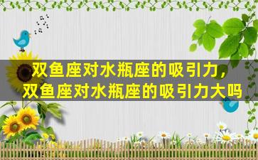 双鱼座对水瓶座的吸引力，双鱼座对水瓶座的吸引力大吗