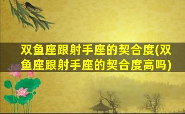 双鱼座跟射手座的契合度(双鱼座跟射手座的契合度高吗)