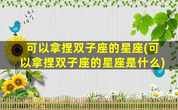 可以拿捏双子座的星座(可以拿捏双子座的星座是什么)