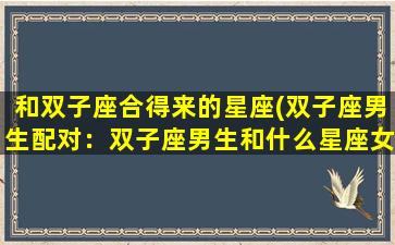 和双子座合得来的星座(双子座男生配对：双子座男生和什么星座女生最配)