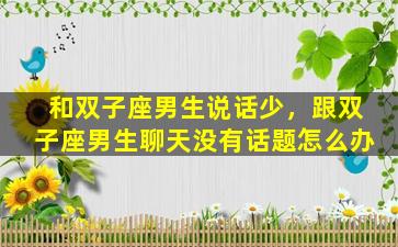 和双子座男生说话少，跟双子座男生聊天没有话题怎么办
