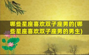 哪些星座喜欢双子座男的(哪些星座喜欢双子座男的男生)