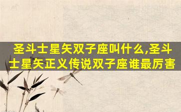圣斗士星矢双子座叫什么,圣斗士星矢正义传说双子座谁最厉害