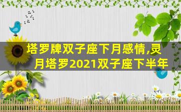 塔罗牌双子座下月感情,灵月塔罗2021双子座下半年