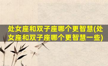 处女座和双子座哪个更智慧(处女座和双子座哪个更智慧一些)