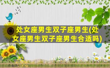 处女座男生双子座男生(处女座男生双子座男生合适吗)