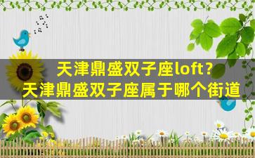 天津鼎盛双子座loft？天津鼎盛双子座属于哪个街道