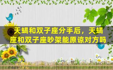 天蝎和双子座分手后，天蝎座和双子座吵架能原谅对方吗