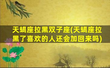 天蝎座拉黑双子座(天蝎座拉黑了喜欢的人还会加回来吗)