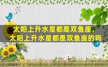 太阳上升水星都是双鱼座，太阳上升水星都是双鱼座的吗