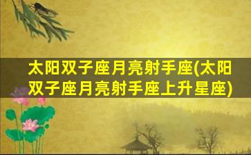 太阳双子座月亮射手座(太阳双子座月亮射手座上升星座)