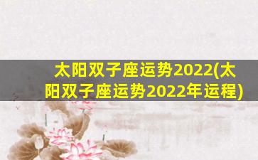 太阳双子座运势2022(太阳双子座运势2022年运程)