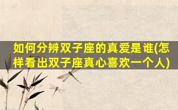 如何分辨双子座的真爱是谁(怎样看出双子座真心喜欢一个人)