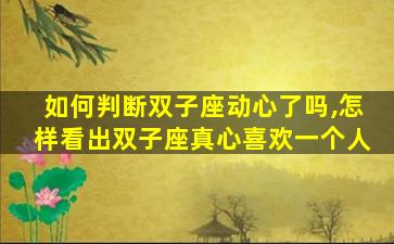 如何判断双子座动心了吗,怎样看出双子座真心喜欢一个人