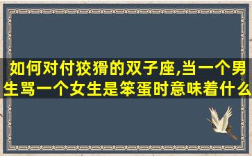 如何对付狡猾的双子座,当一个男生骂一个女生是笨蛋时意味着什么