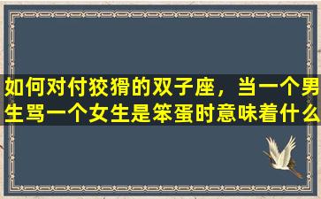 如何对付狡猾的双子座，当一个男生骂一个女生是笨蛋时意味着什么