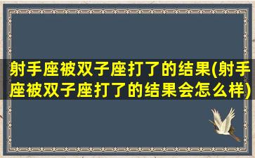 射手座被双子座打了的结果(射手座被双子座打了的结果会怎么样)