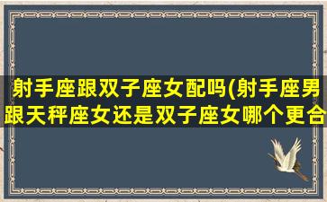 射手座跟双子座女配吗(射手座男跟天秤座女还是双子座女哪个更合适)