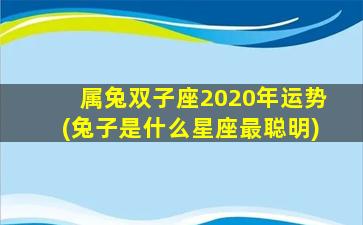 属兔双子座2020年运势(兔子是什么星座最聪明)