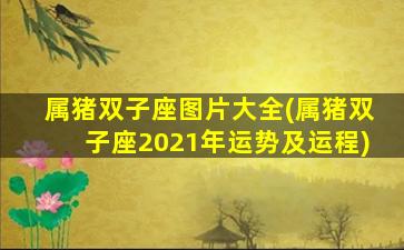 属猪双子座图片大全(属猪双子座2021年运势及运程)