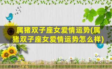 属猪双子座女爱情运势(属猪双子座女爱情运势怎么样)