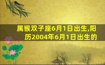 属猴双子座6月1日出生,阳历2004年6月1日出生的