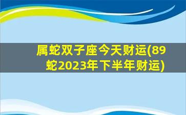 属蛇双子座今天财运(89蛇2023年下半年财运)