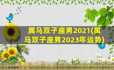 属马双子座男2021(属马双子座男2023年运势)