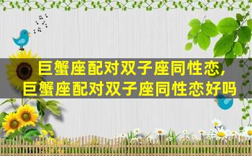 巨蟹座配对双子座同性恋,巨蟹座配对双子座同性恋好吗