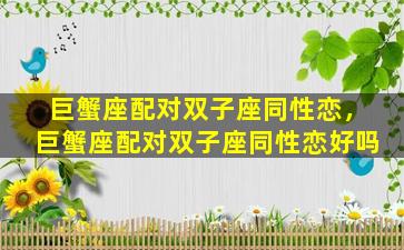 巨蟹座配对双子座同性恋，巨蟹座配对双子座同性恋好吗