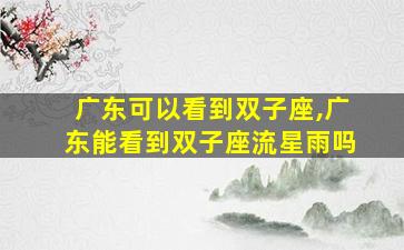 广东可以看到双子座,广东能看到双子座流星雨吗