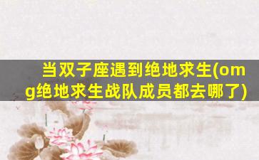 当双子座遇到绝地求生(omg绝地求生战队成员都去哪了)