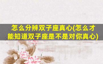 怎么分辨双子座真心(怎么才能知道双子座是不是对你真心)