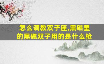 怎么调教双子座,黑礁里的黑礁双子用的是什么枪