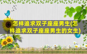 怎样追求双子座座男生(怎样追求双子座座男生的女生)