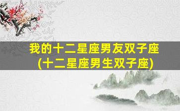 我的十二星座男友双子座(十二星座男生双子座)