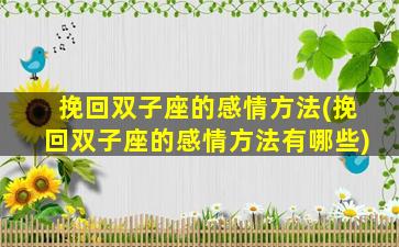 挽回双子座的感情方法(挽回双子座的感情方法有哪些)