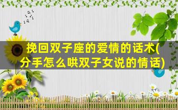 挽回双子座的爱情的话术(分手怎么哄双子女说的情话)